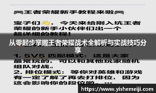 bsports登录入口