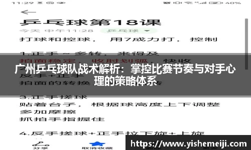 bsports官网入口