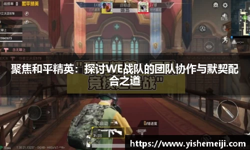 Bsports网页版