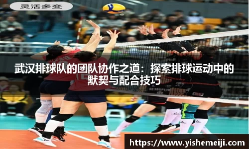 bsports登录入口