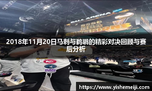 bsports官网入口