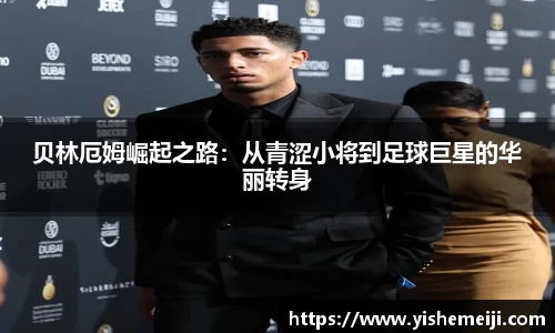 Bsports网页版