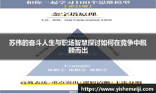 bsports登录入口