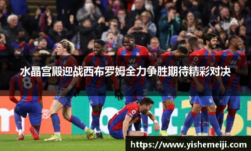 bsports登录入口