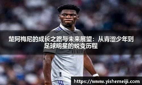 bsports登录入口