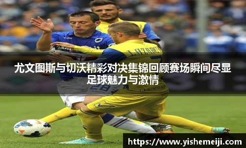 Bsports网页版