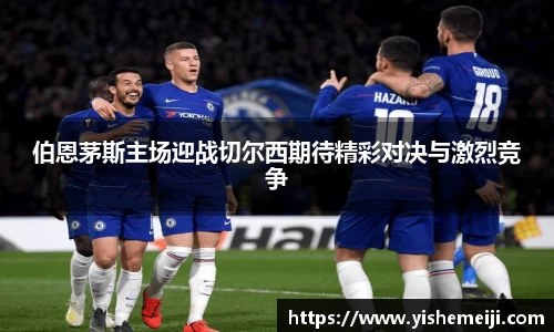 bsports登录入口