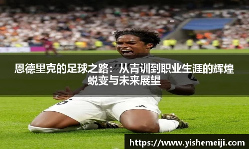 bsports登录入口