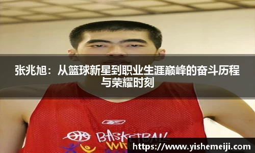 bsports登录入口