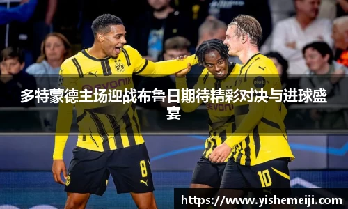 bsports官网入口