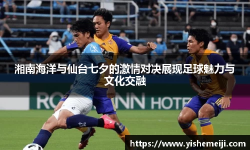Bsports网页版