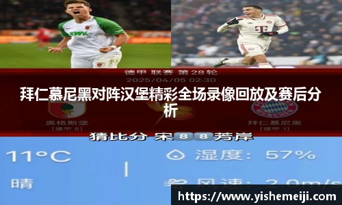 bsports登录入口