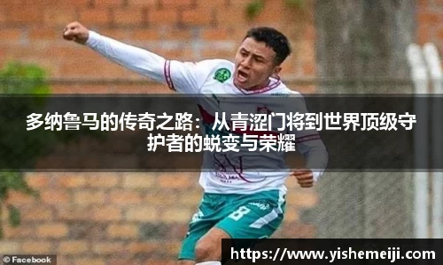 bsports官网入口
