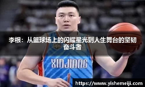 bsports登录入口