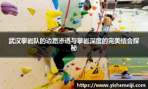 bsports官网入口