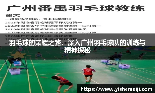 bsports官网入口
