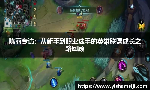 bsports登录入口