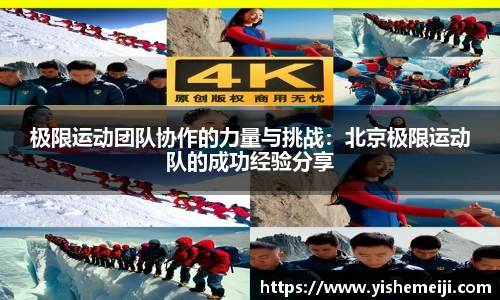 bsports登录入口