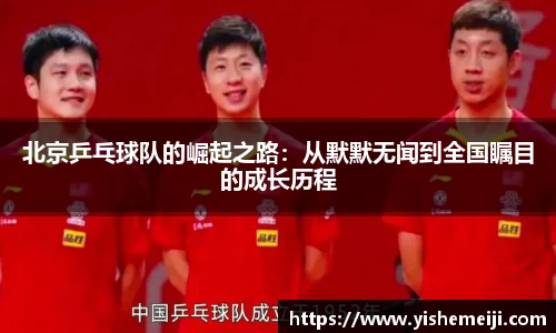 bsports登录入口