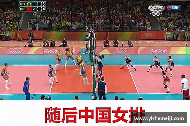 发现bsports